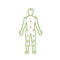 <p>All Body Areas</p>